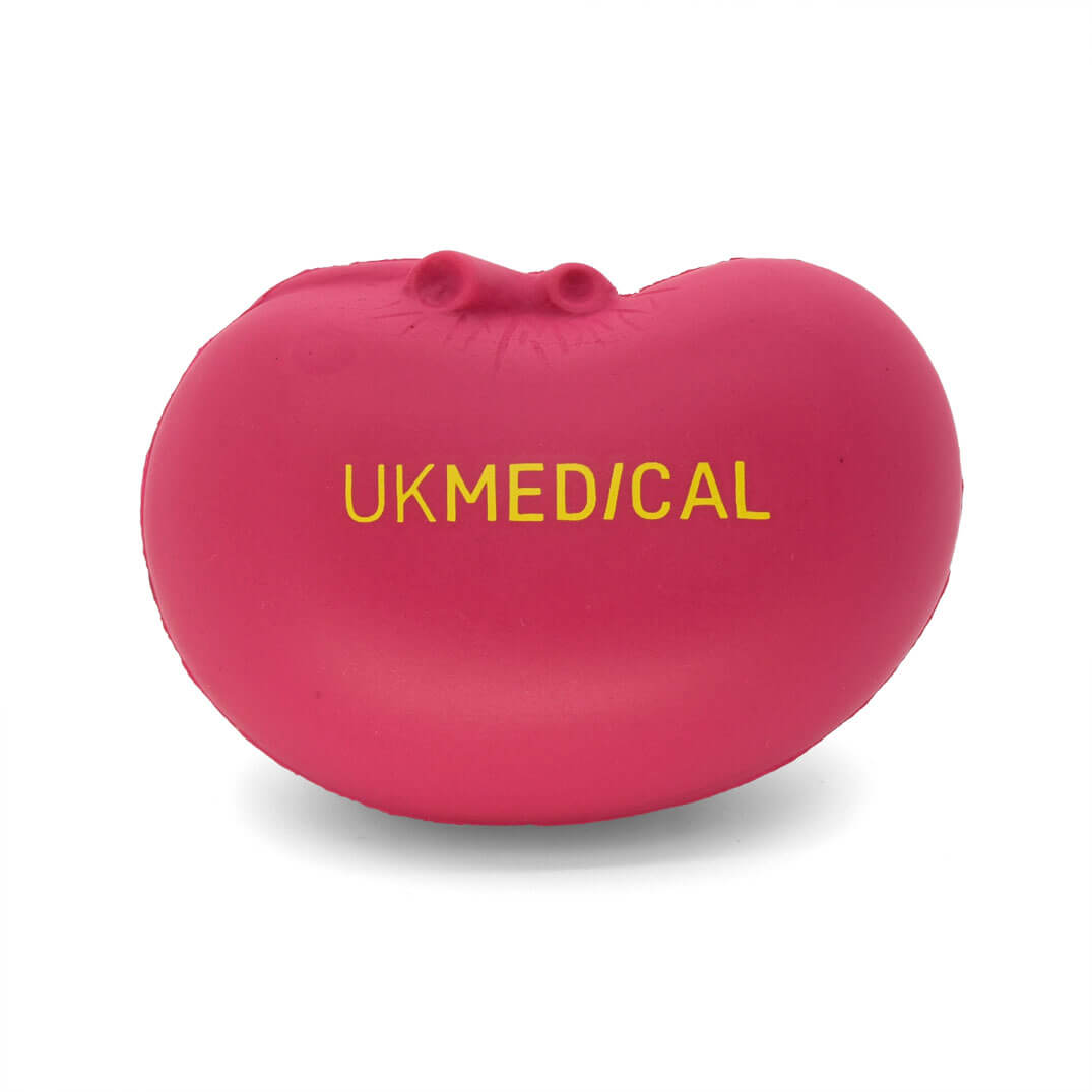 UK Medical Pink Kidney stress ball