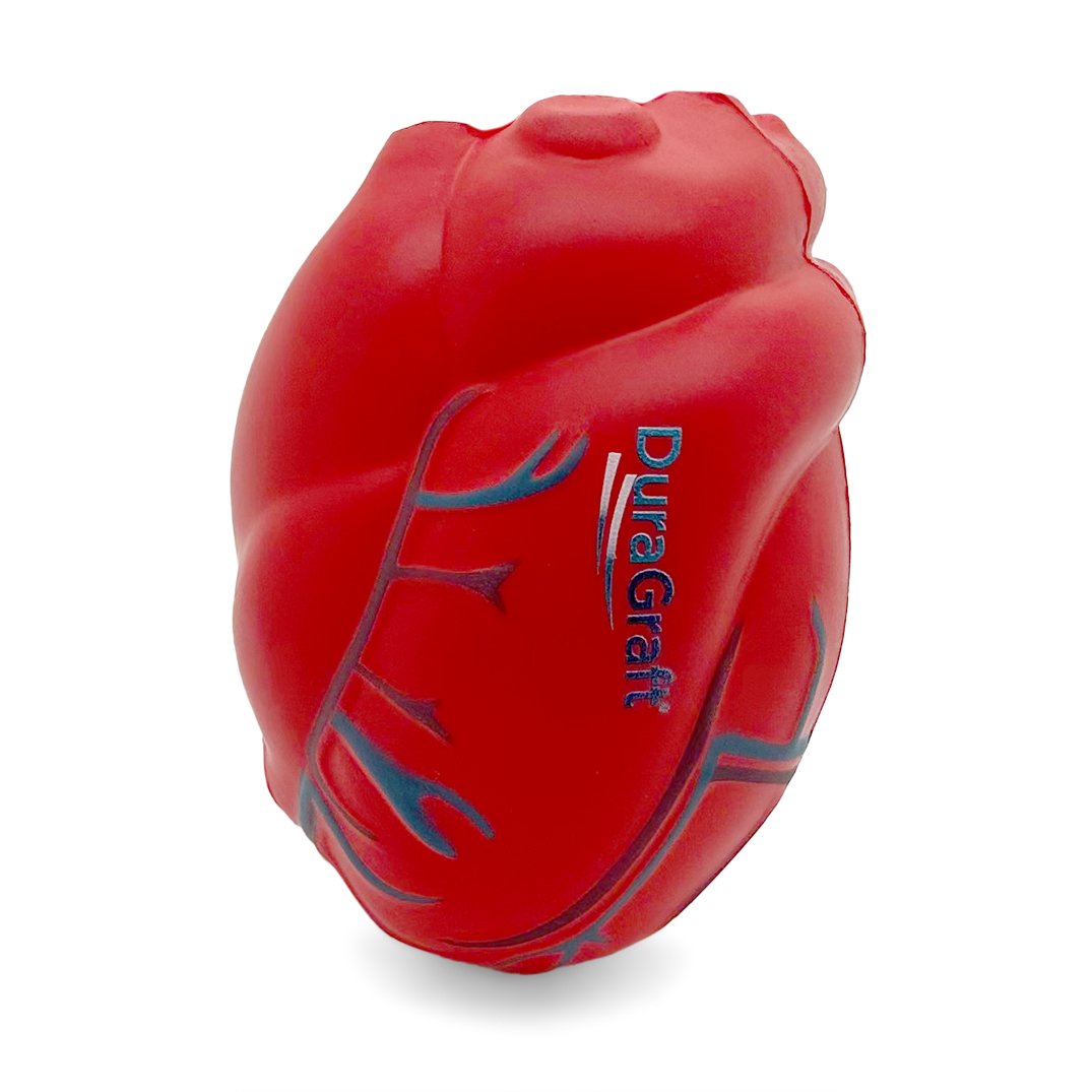 Heart with Veins Front View
