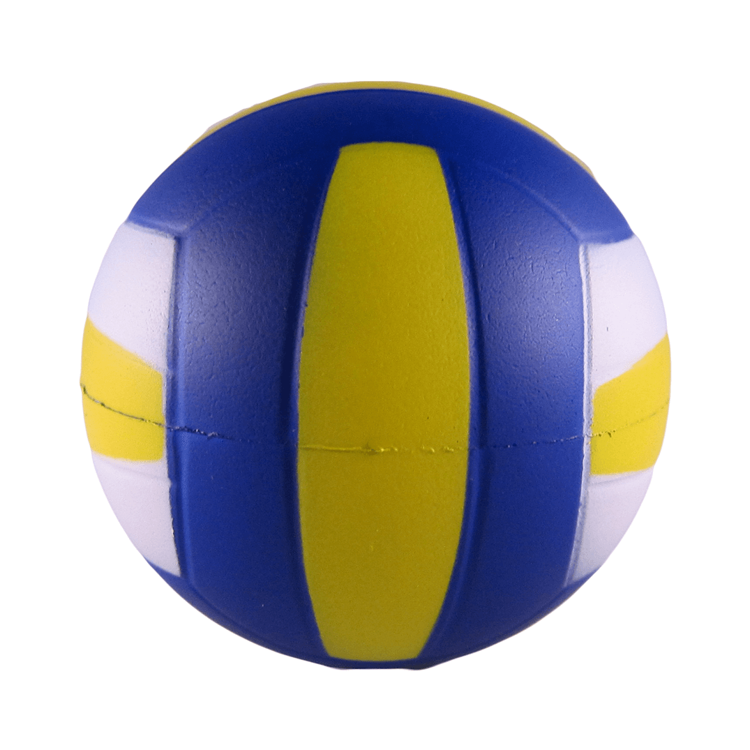 Volleyball Back