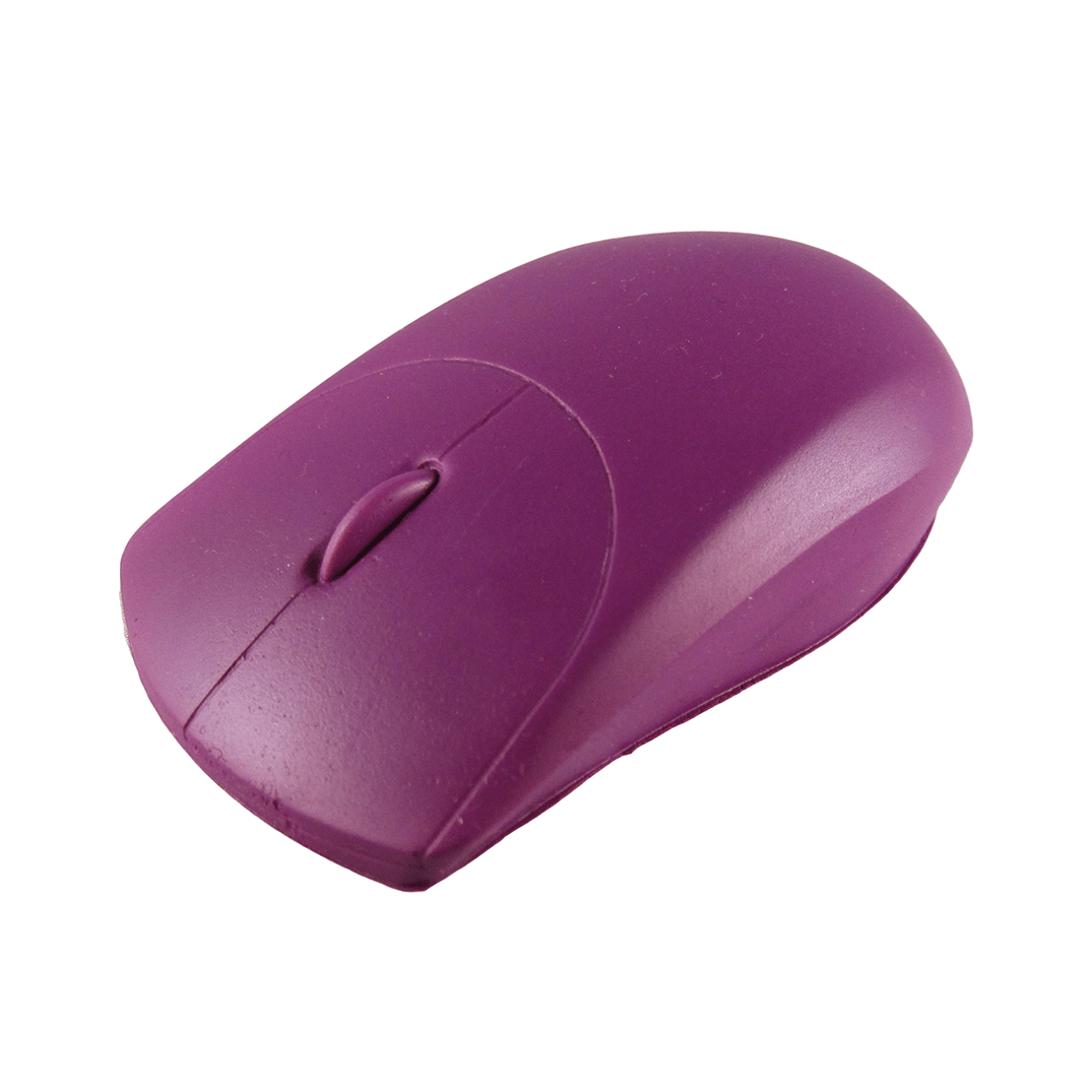 Mouse Angle View