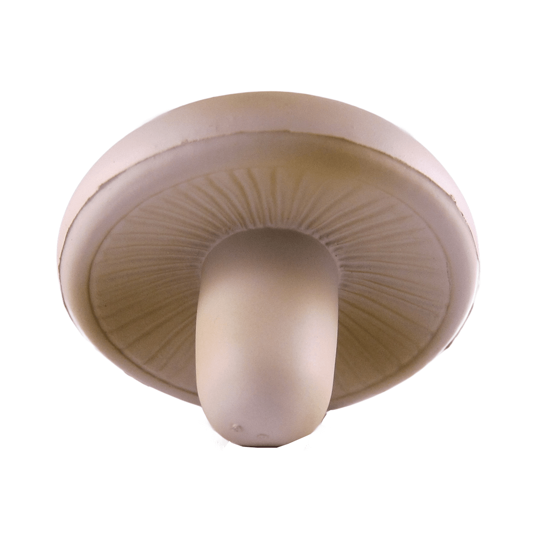 Mushroom Bottom