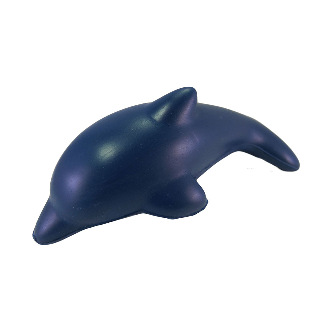 Dolphin Front View