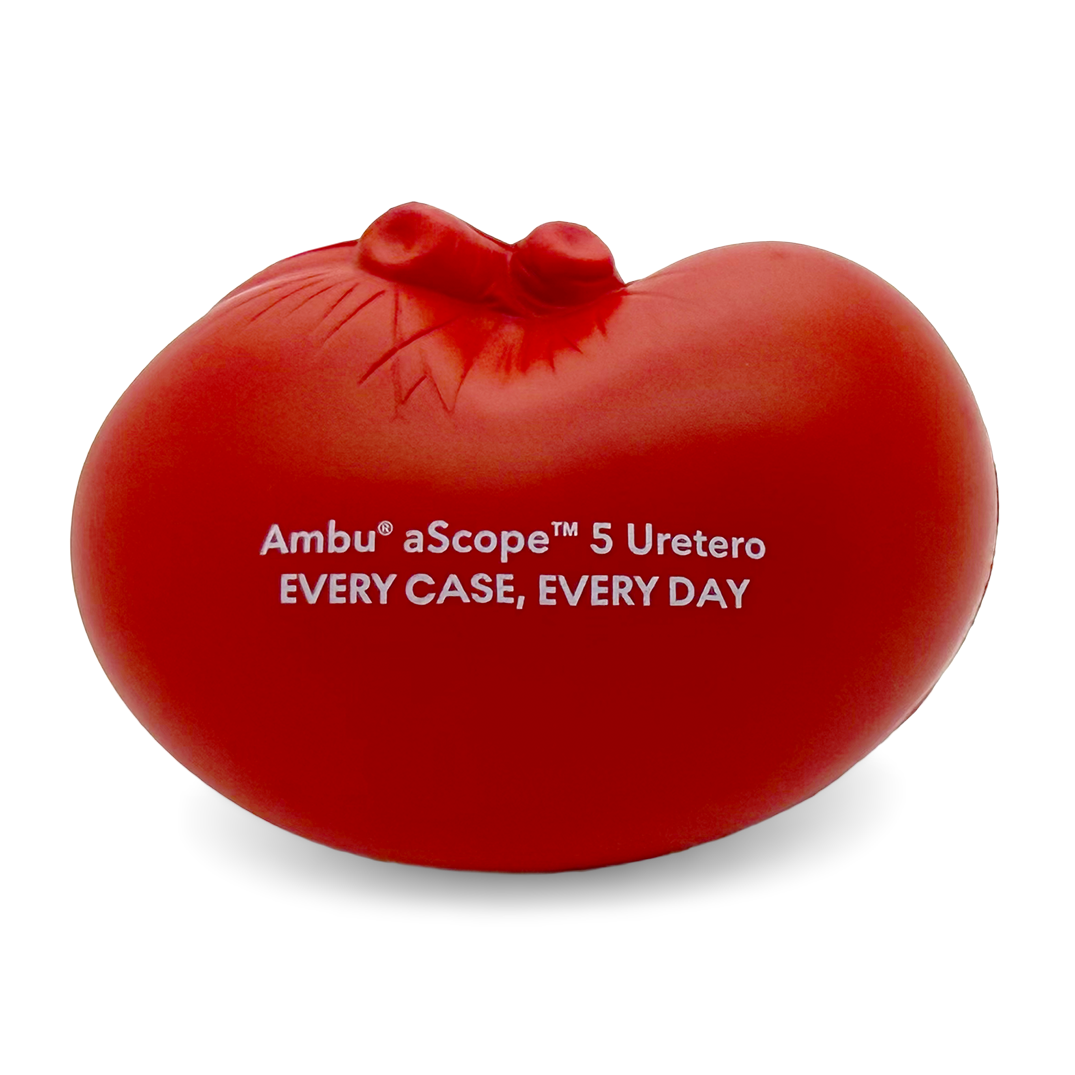 Kidney Stress Ball Front View