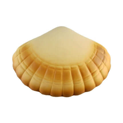 Sea Shell Front