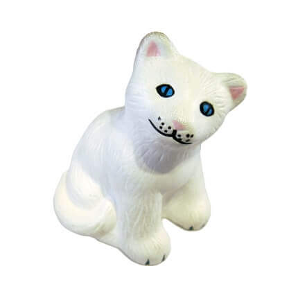 Cat Front
