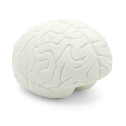 Small Brain Stress Ball White - UK Made