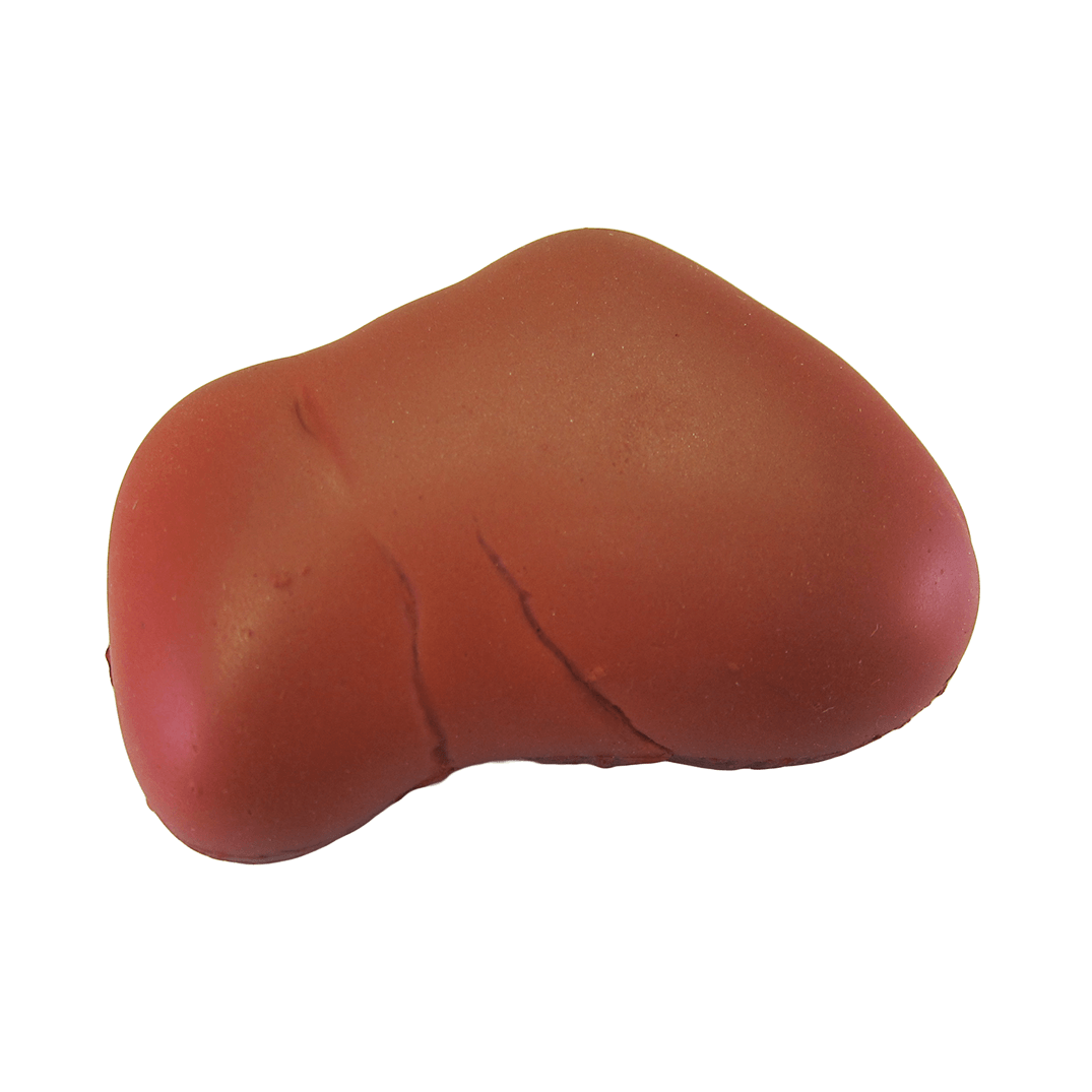 Damaged Liver Bottom