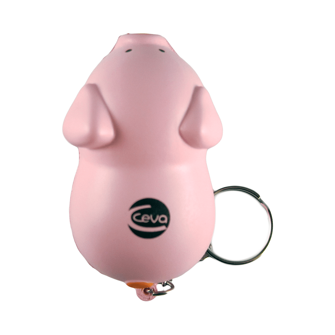 Pig Keyring Top