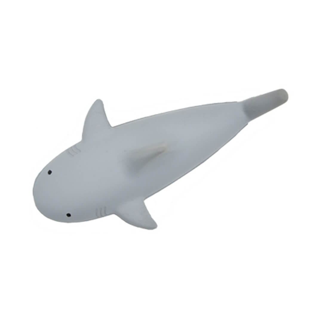 Shark Top View