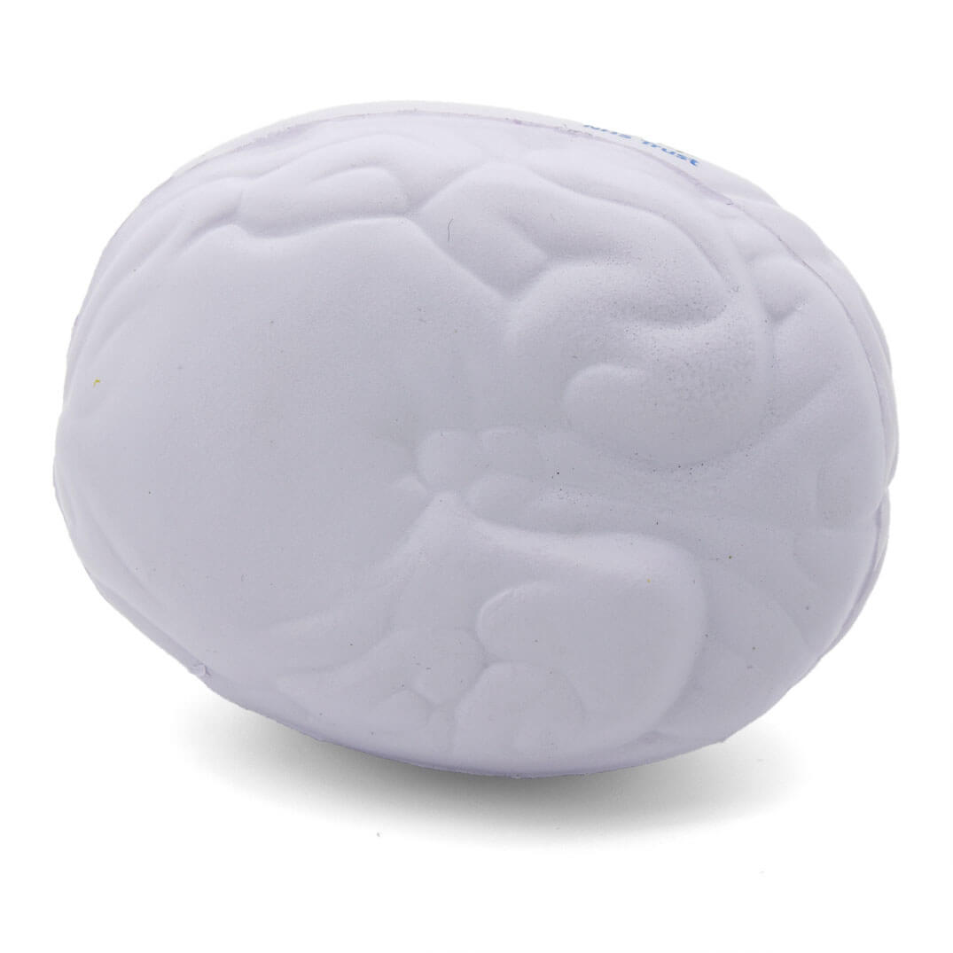 Large White Stress Brain Underside View
