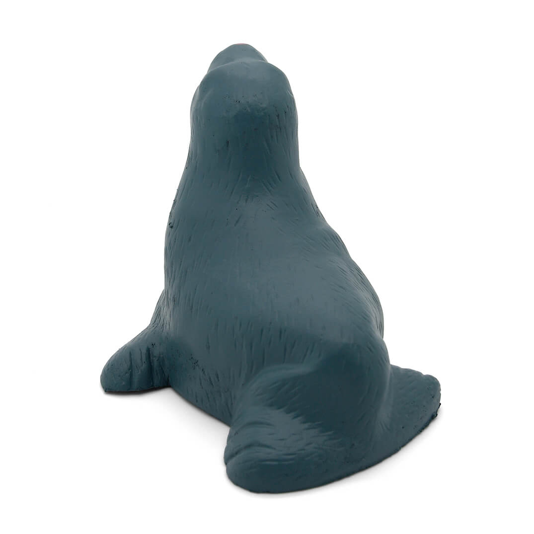 Seal Rear View