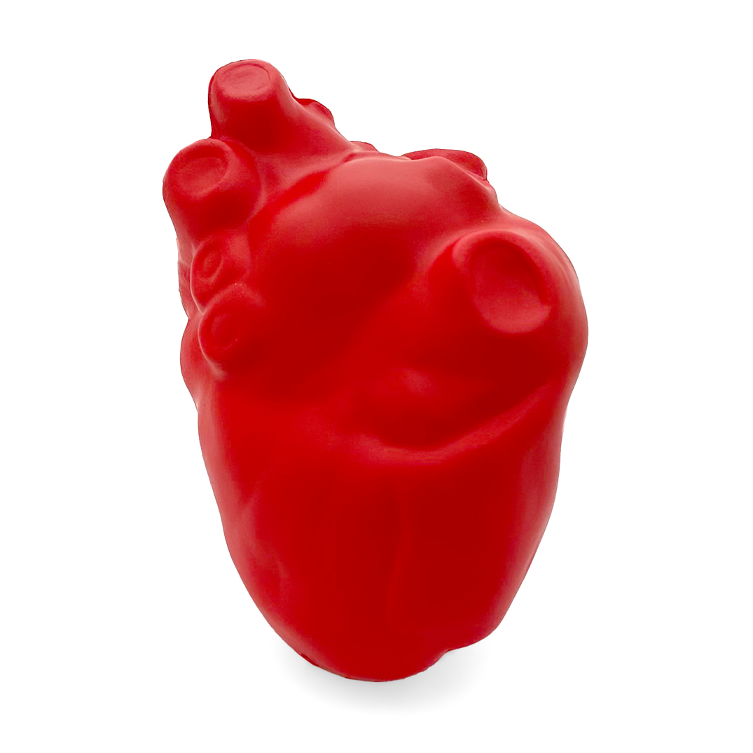 Factual Heart Stress Ball Rear