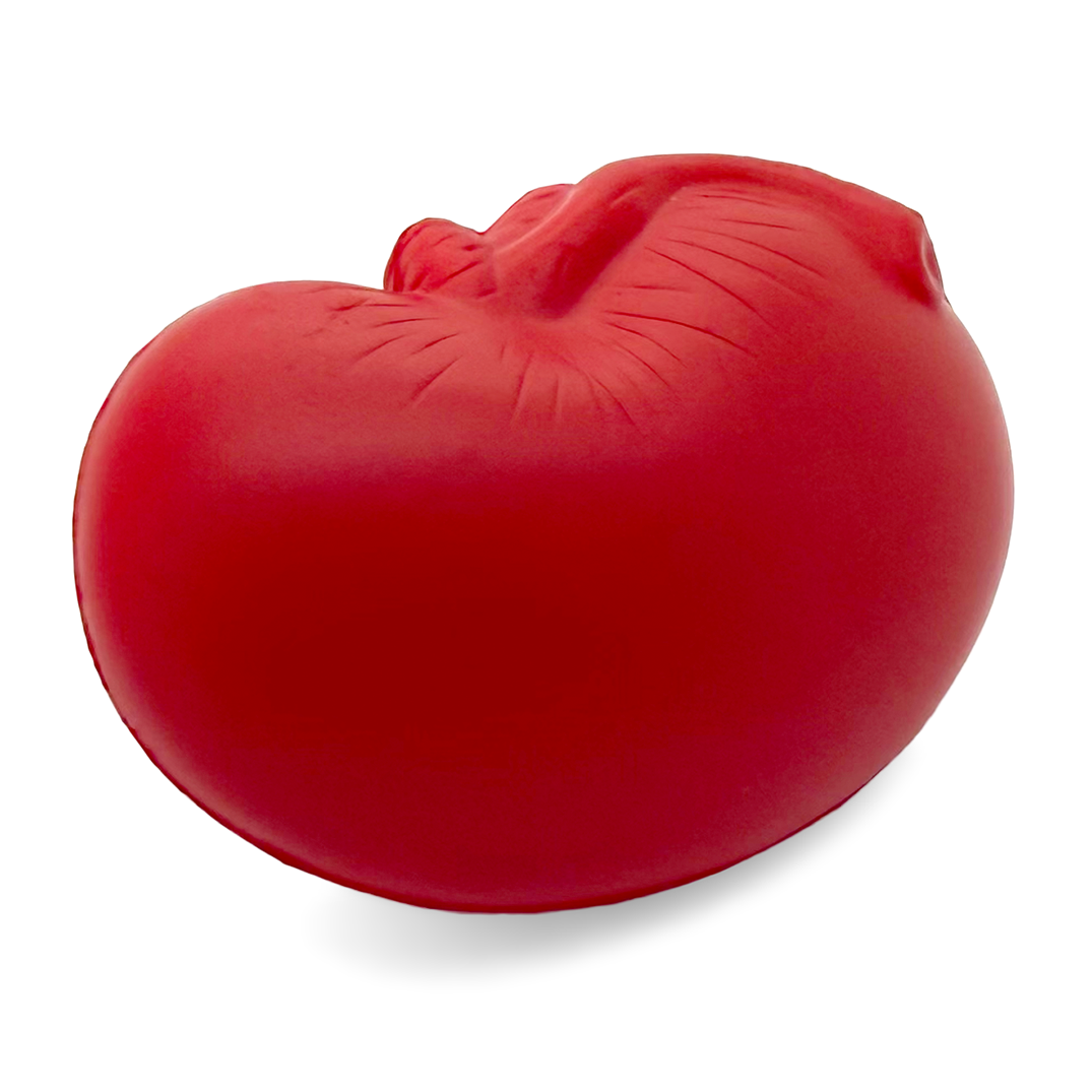 Kidney Stress Ball Rear View