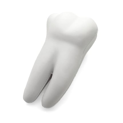 Large Tooth Stress Ball - Rear View