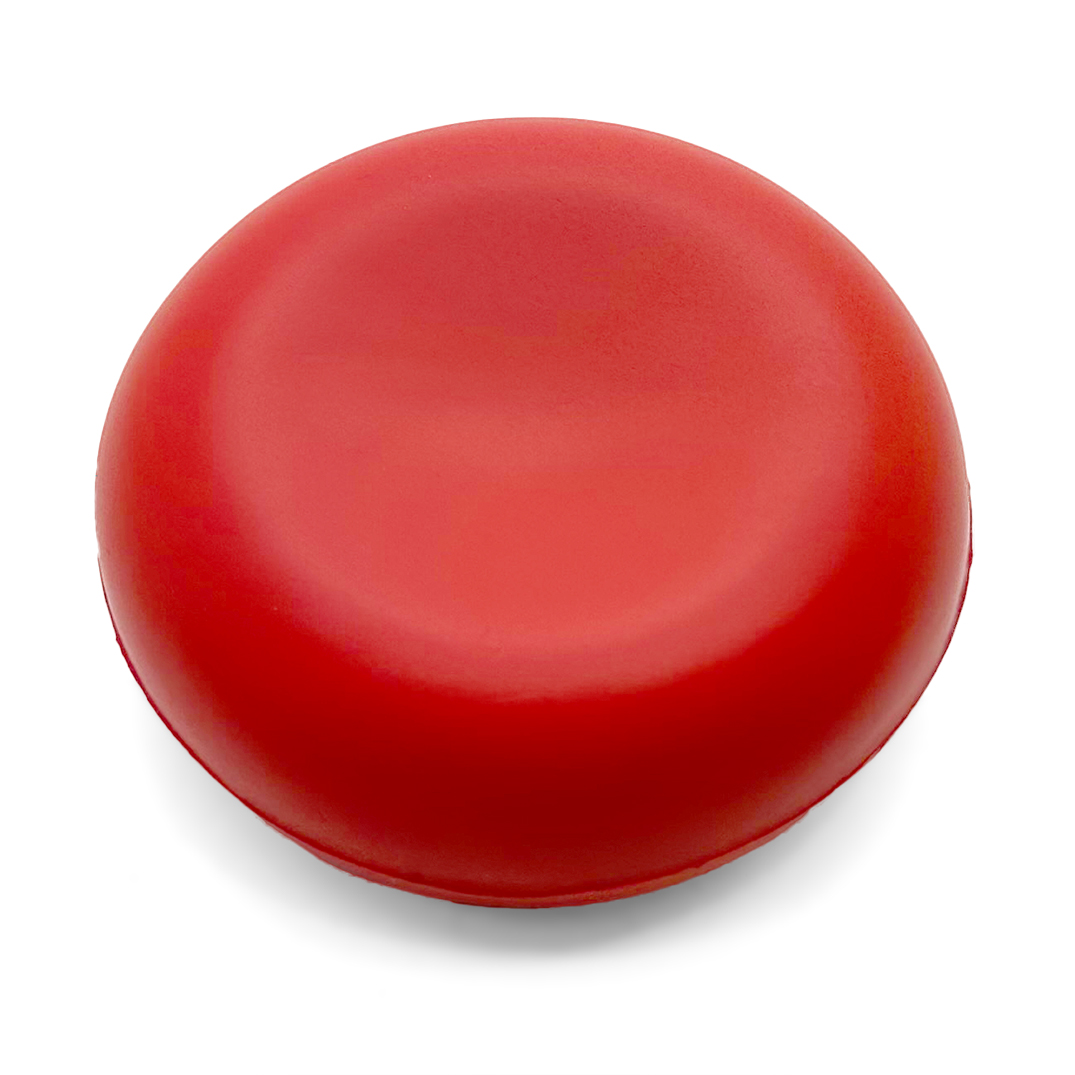 Blood Cell Stress Ball - Underside