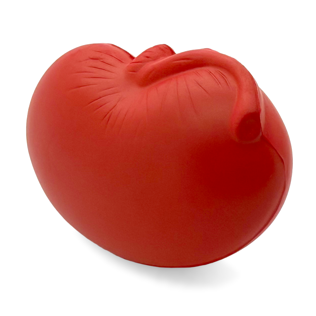 Kidney Stress Ball Alternate Side View