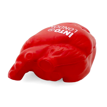 Factual Heart Stress Ball Ventricles