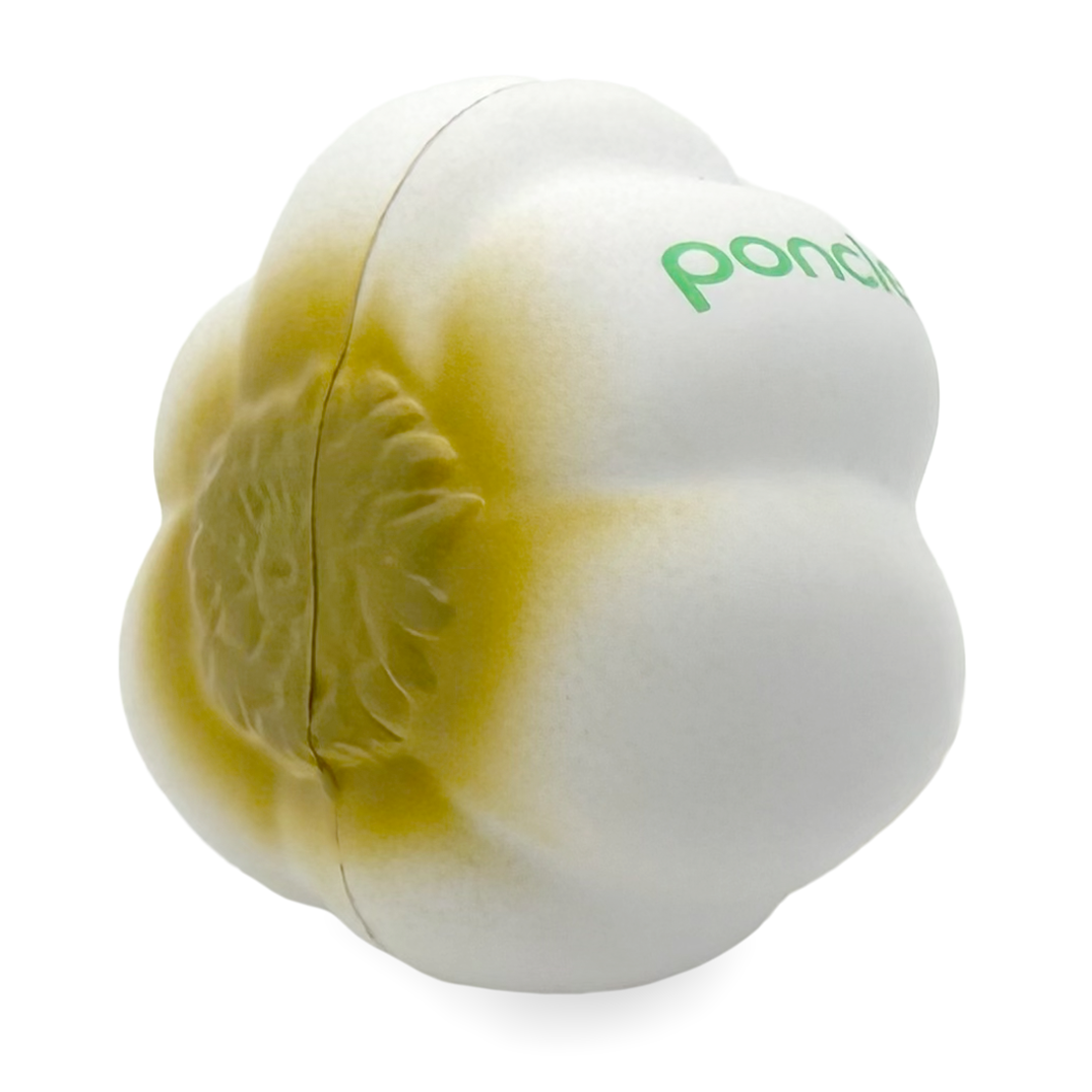 Stress Garlic Bulb Underside