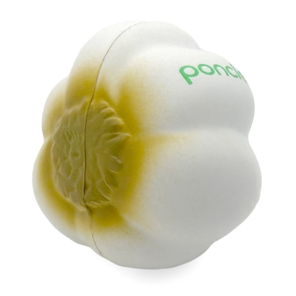Stress Garlic Bulb Underside